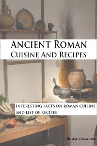 ancient roman cuisine book cover