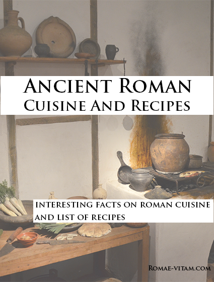 ancient roman cuisine book