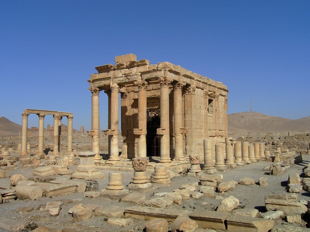 palmyra